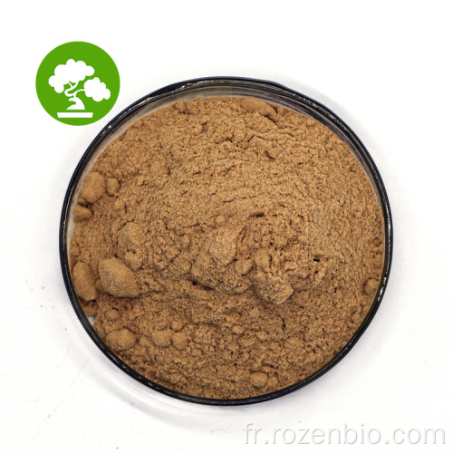 Fourniture d&#39;usine Ginkgo Biloba Leaf Extract Powder